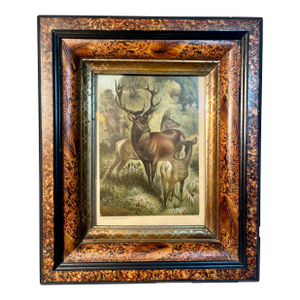 Victorian Burled Walnut Framed Print of Stag or Red Deer 1890s 3 Stack Frame With Chromolithograph