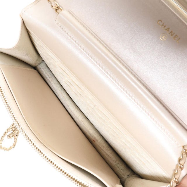 Beige Gold Metallic Lizard Golden Class Wallet on Chain For Sale - Image 8 of 8