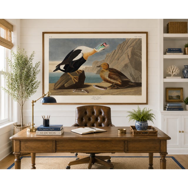 Vintage waterfowl artwork reproduced from Birds of America (1827) by John James Audubon and refined for modern printing....