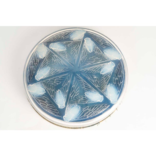 Cléones Box by René Lalique, 1921 For Sale - Image 6 of 6