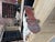 Antique Carved Wooden Horse For Sale - Image 14 of 15