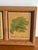 Framed Plant Tiles, Creeping Charlie and Maidenhair Fern For Sale - Image 4 of 6