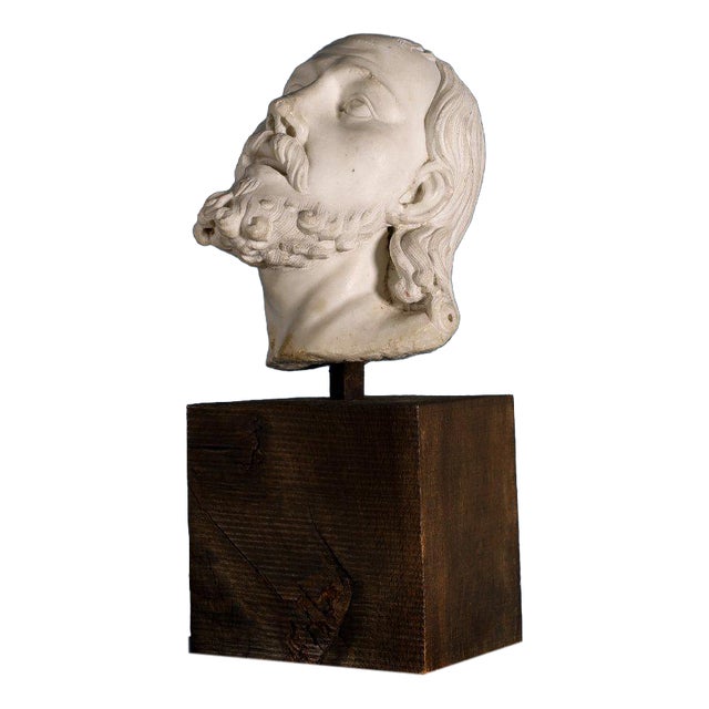 Girolamo Ticciati, Italian School Head of a Bearded Man with Long Hair, 1700s, Marble For Sale