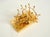 Crystal Glass and Brass Wall Lamp from Kinkeldey, 1960s For Sale - Image 15 of 18