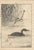Imao Keinen, Little Grebe, 1892, Print For Sale - Image 12 of 13