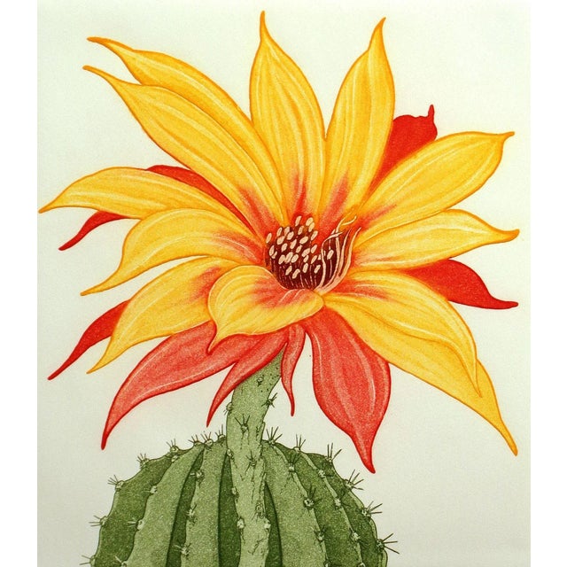 1981 Portfolio of Cactus Flower Etchings After Arnold Iger - Set of 5 For Sale - Image 10 of 13
