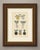 An original antique wood engraving, colored by hand with watercolor, showing seven insignia of anhalt on green and white...