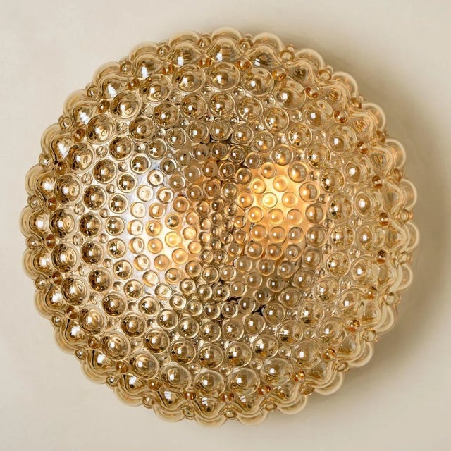 Amber Glass Wall Lights by Helena Tynell for Glashütte Limburg, Set of 2 For Sale - Image 12 of 16