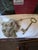 1980s Oversized Brass Key With Tassel For Sale - Image 5 of 7
