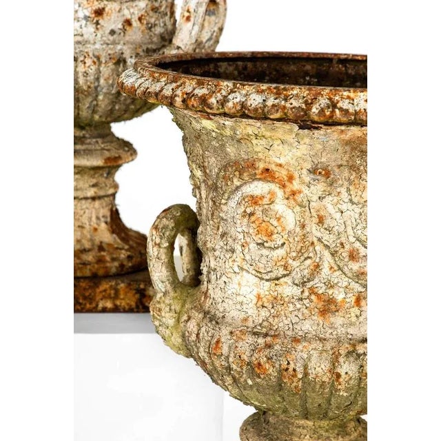 Campana Urns by Andrew Handyside, Set of 2 For Sale - Image 6 of 11