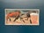 Calle Johansson, Two Horses, 1959, Oil Painting on Panel, Framed For Sale - Image 12 of 15