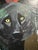 “Wolf Encounters” Art by LWren Walraven For Sale - Image 10 of 10