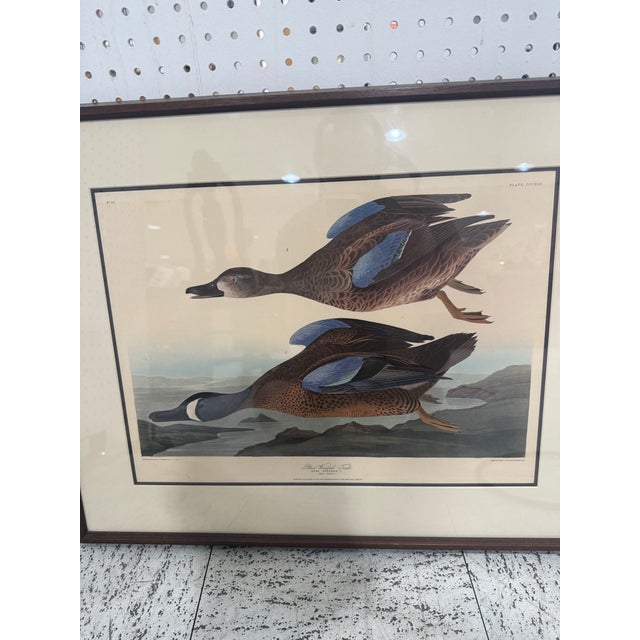 Art Deco Late 19th Century Blue Winged Teal by Robert Havell Plate Bird Framed 1836 For Sale - Image 3 of 7