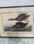Art Deco Late 19th Century Blue Winged Teal by Robert Havell Plate Bird Framed 1836 For Sale - Image 3 of 7