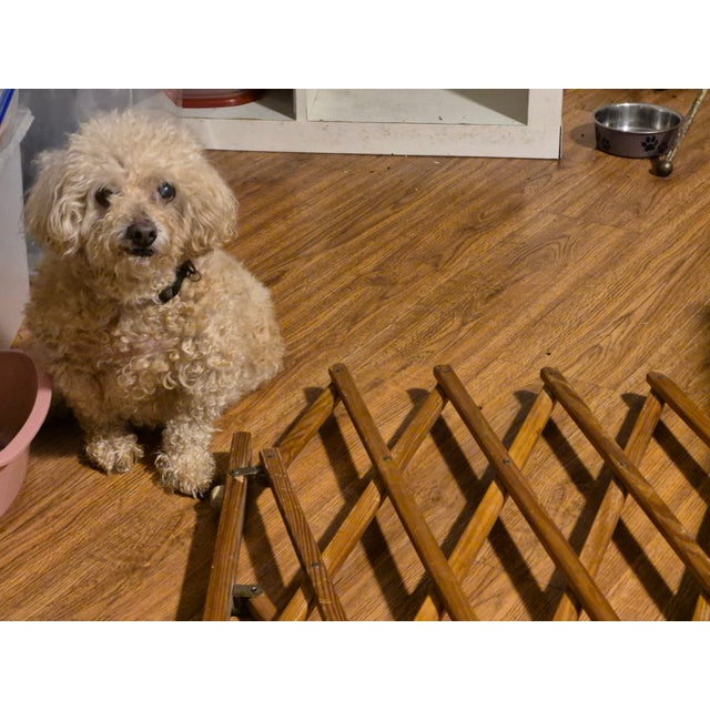 MCM "World's Best Gatemaster" Wood Barrier Gate For Sale - Image 12 of 12