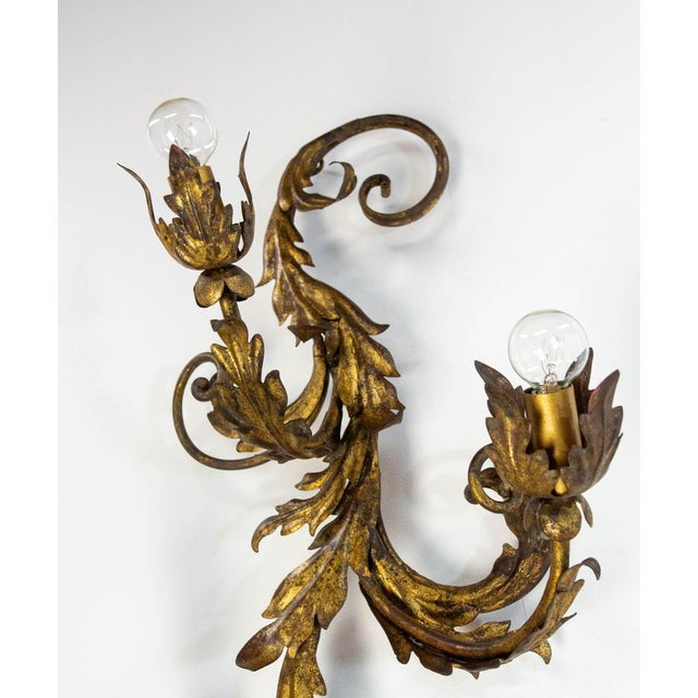 Goldenrod French Six Lights Sconce in Iron with Golden Leaves, 1890s For Sale - Image 8 of 10