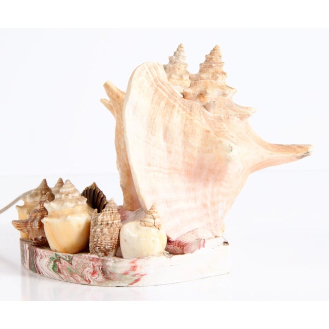 Vintage 1970's Nautical Double Conch Shell Lamp For Sale In Providence - Image 6 of 9