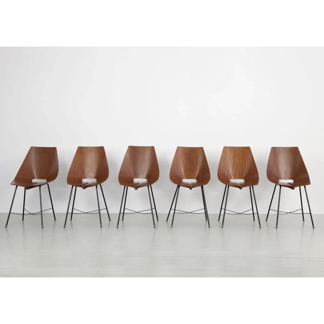 Mid-Century Modern Vintage Bentwood Dining Chairs from Societa Compensato Curvato, 1960s, Set of 6 For Sale - Image 3 of 18