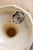 19th Century Ironstone Compote Dish with Rouen Pattern from Longchamp For Sale - Image 6 of 9