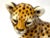 1970's Italian Ceramic Baby Leopard For Sale In New York - Image 6 of 12