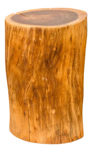 Vintage Thai Rustic Tree Stump Pedestal, Stool or Drinks Table