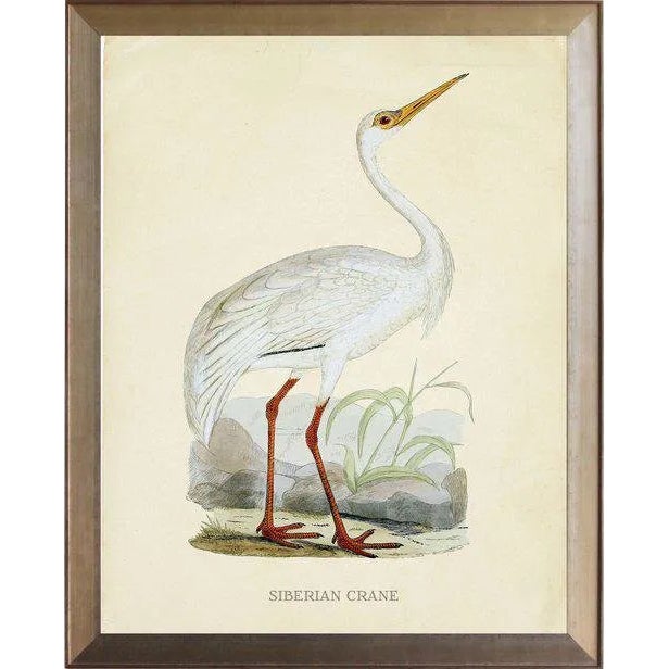 Siberian Crane in Distressed Metallic Frame 25x31 For Sale