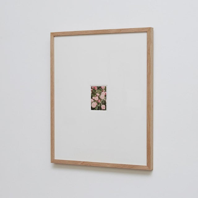 The Rose Garden Nº 14 Print by David Urbano, 2018 For Sale - Image 9 of 9