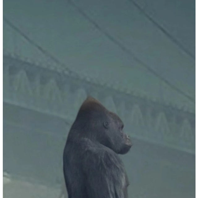 Mr Strange, 2060, 2022, Giclee Print For Sale - Image 5 of 9