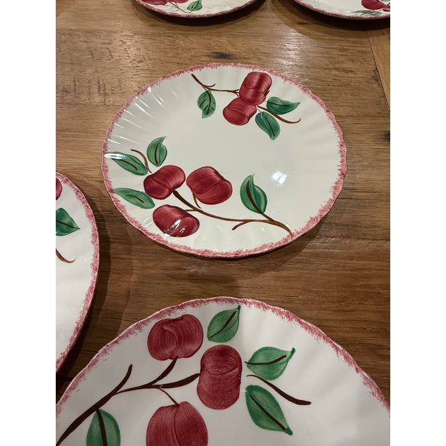 1950s 1950s Blue Ridge Apple Dinner Plates Set of 5 For Sale - Image 5 of 8