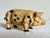 Antique Hand Painted Cast Iron Pig Figurine For Sale - Image 10 of 11