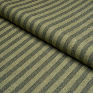 Schumacher Hanson Indoor/Outdoor Stripe Narrow Fabric In Green For Sale