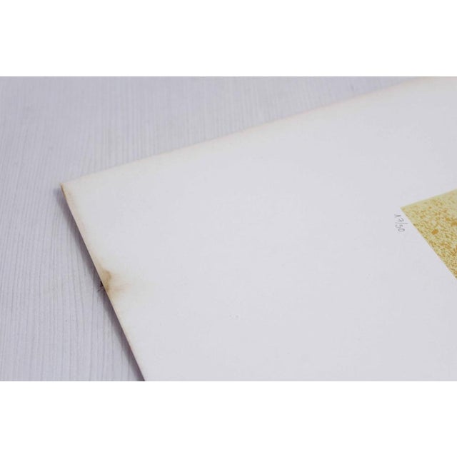 Klaus Littmann, Composition, 1970, Lithograph For Sale - Image 9 of 11