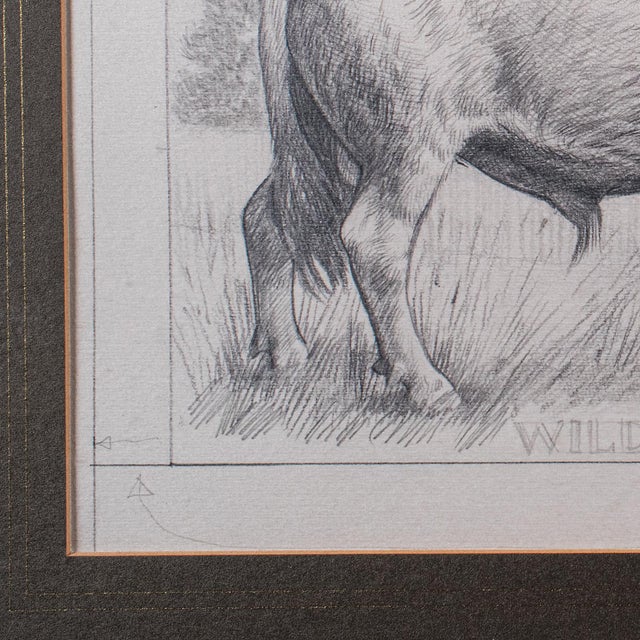 Glass Artist's Proof Sketch, English, Framed Drawing, Barry Driscoll, Chillingham Bull For Sale - Image 7 of 10
