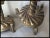 Bronze Pair Antique 19thC Victorian, Gothic Candlesticks Lions Dore Bronze For Sale - Image 8 of 12
