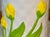Ceramic Planter With Hand Painted Tulips For Sale In New York - Image 6 of 10