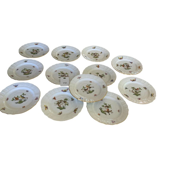 Herand Rothschild Bird Complete Set of 12 6" Porcelain Salad Plates RO/1515 Made in Hungary. Discontinued. 12 Different...