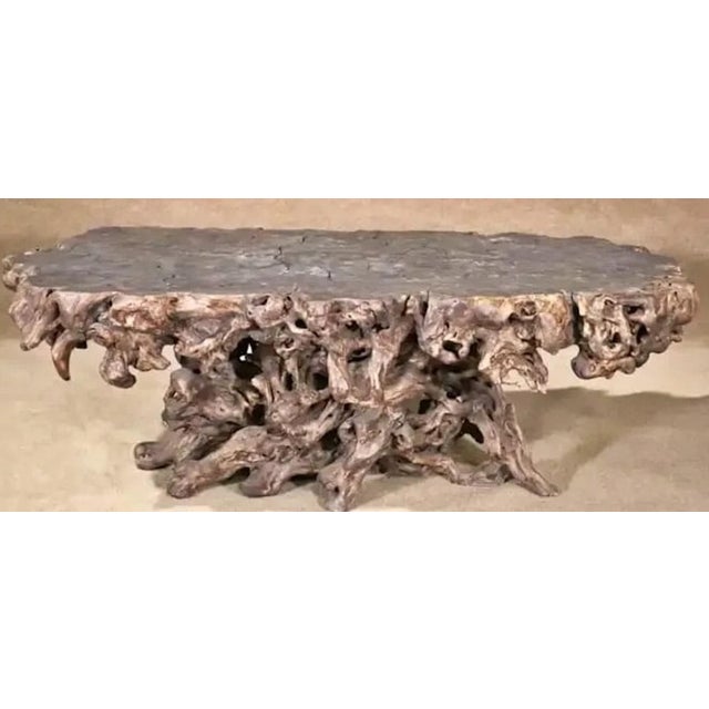 Mid 20th Century Root Wood Coffee Table For Sale - Image 5 of 5