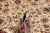 Middle Eastern Hand-Knotted Sarough Rug For Sale - Image 9 of 11