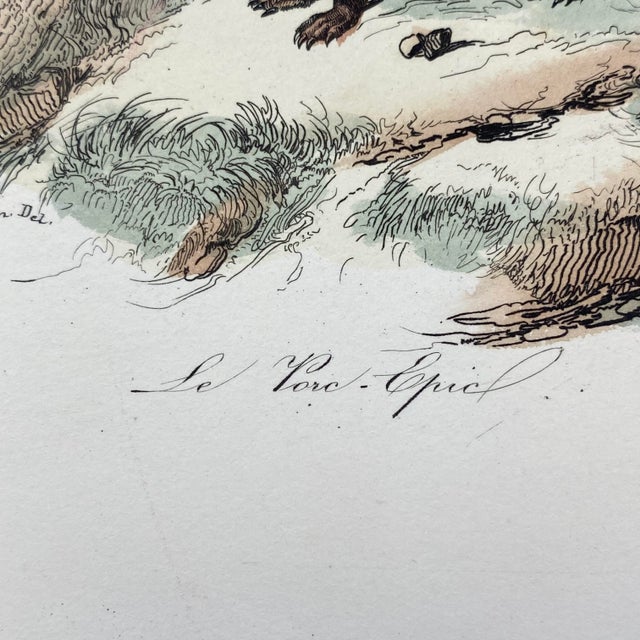 18th Century French Antique 18th Century "Le Porc Epic" Porcipine Animal Engraving Hand Colored Signed Artwork For Sale - Image 5 of 12