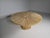 Rare “rosa dei venti” dining table, designed by mario ceroli for poltronova in the 1970s. Executed in solid pine with...