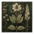 18" X 18" Original Botanical Fine Art Print - Dark Green Grisaille For Sale
