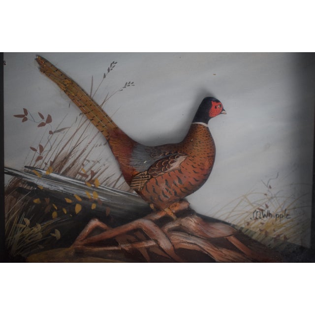 Abercrombie & Fitch X Joseph Q. Whipple Hand Painted Pheasant Shadowbox For Sale - Image 4 of 4
