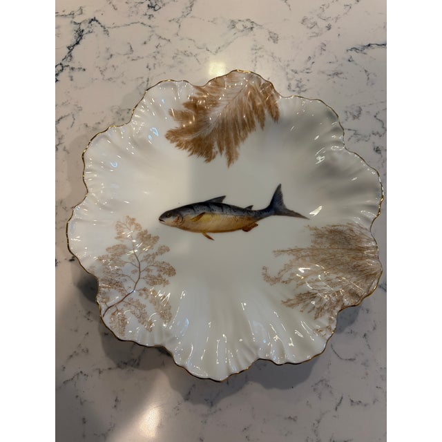 Antique Plates Limoges Gold Rimmed (14 Piece Set) For Sale - Image 10 of 17