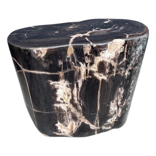 Andrianna Shamaris Impressive Super Smooth Petrified Wood Side Table For Sale