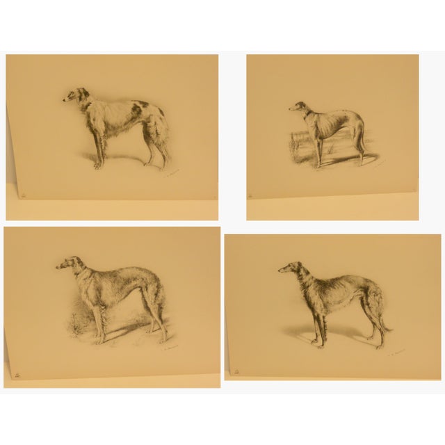 Rare 1934 Limited Edition Borzoi Portfolio: 28 Lithographs For Sale - Image 15 of 15