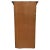 Neoclassical Tall Regency Gilt Wood Wall Pier Mirror With Draped Tassel Detail For Sale - Image 11 of 11