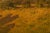 Green “The Fort Saint Andre in Provence” by Leon Joubert, French Barbizon Painting For Sale - Image 8 of 15