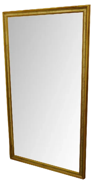 Long Gilt Dressing Mirror, 1960s