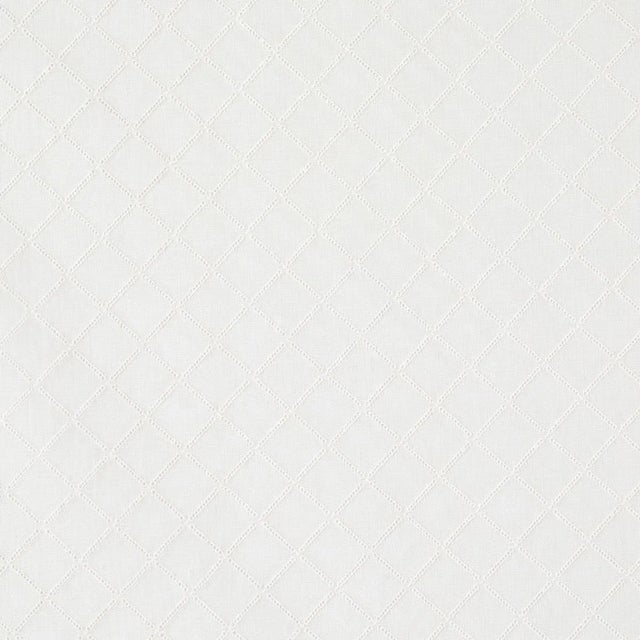 Sample - Schumacher Madeleine Sheer Embroidery Fabric in Eggshell For Sale