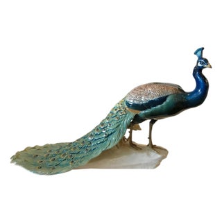 Extraordinary Nymphenburg Hand Painted Porcelain Peacock, Signed and Dated 1912 For Sale